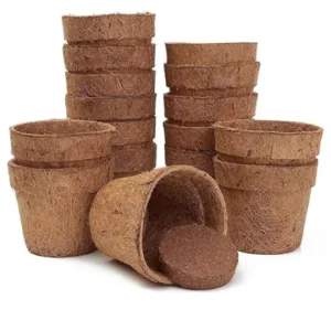 TrulyFresh Coco Coir Round Plant Pots | 6", Set of 3