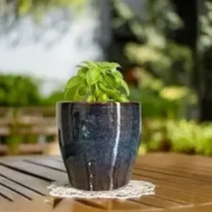 TrulyFresh Mystic Bloom Glazed Ceramic Pot