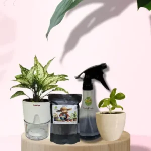 Bloom & Bliss Set