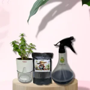 Green Grace Gift Set