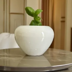 TrulyFresh Pristine Apple Ceramic Pot