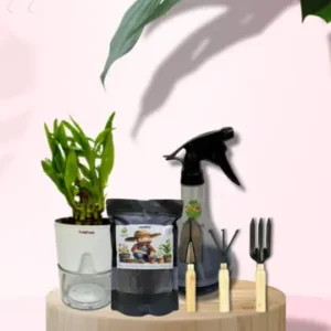 Grow Together Gift Box